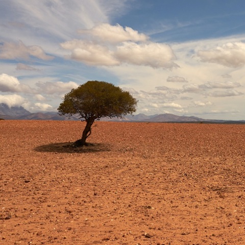 Κλίμα: Τα τελευταία επτά χρόνια θα καταγραφούν ως τα θερμότερα από τότε που κρατούνται αρχεία