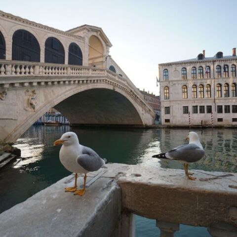 Ιταλία: Είκοσι τρεις Έλληνες τουρίστες βρέθηκαν θετικοί στον κορωνοϊό στην Βενετία	