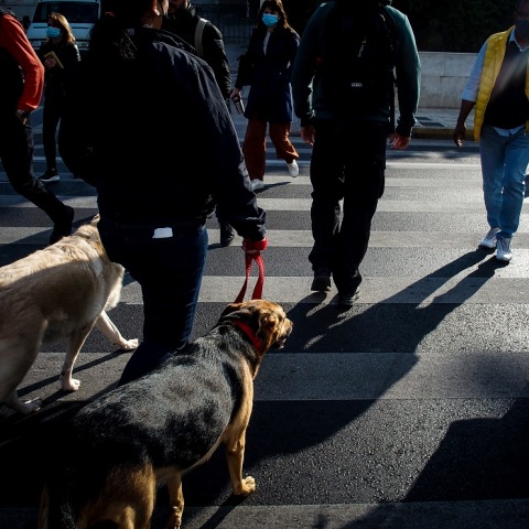 Πίνακας του ΕΟΔΥ με την κατανομή για τα κρούσματα σήμερα