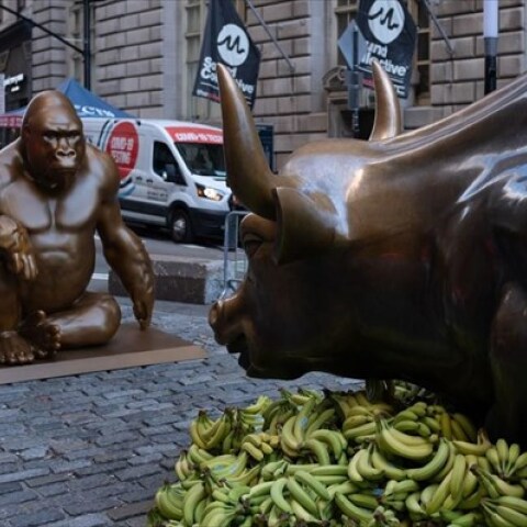 Ο μπρούτζινος γορίλας Harambe απέναντι στο «Charging Bull»