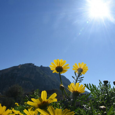 Ο καιρός αύριο Πέμπτη (4/11) έχει ηλιοφάνεια στο μεγαλύτερο μέρος της χώρας, σύμφωνα με την πρόγνωση