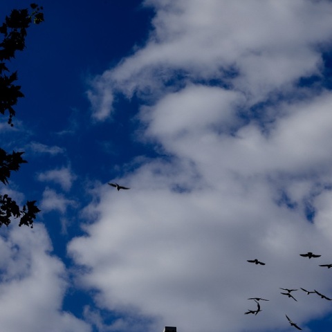 ΚΑΙΡΟΣ ΣΥΝΝΕΦΑ (ΚΟΝΤΑΡΙΝΗΣ ΓΙΩΡΓΟΣ EUROKNISSSI)