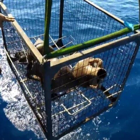 Ναυάγιο ανακαλύφθηκε στα Κύθηρα