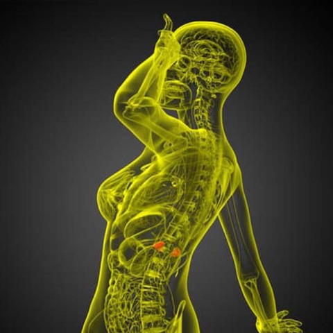 Τι πρέπει να γνωρίζουμε για το αδένωμα επινεφριδίου; 