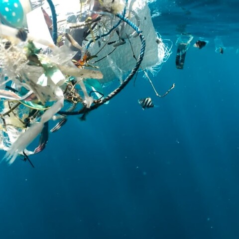 Πλαστικά στη θάλασσα