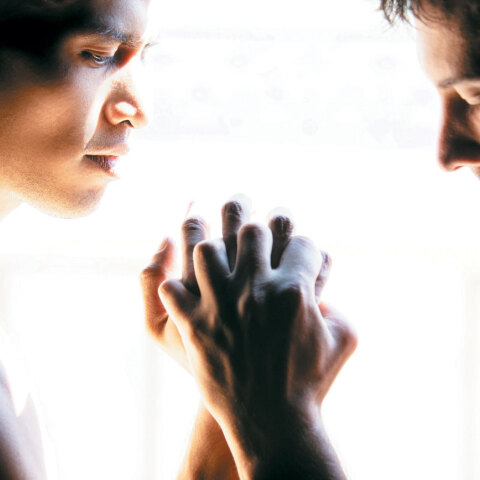 Homos, στην Ελλάδα όλοι