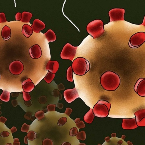 Το σκίτσο του Αρκά