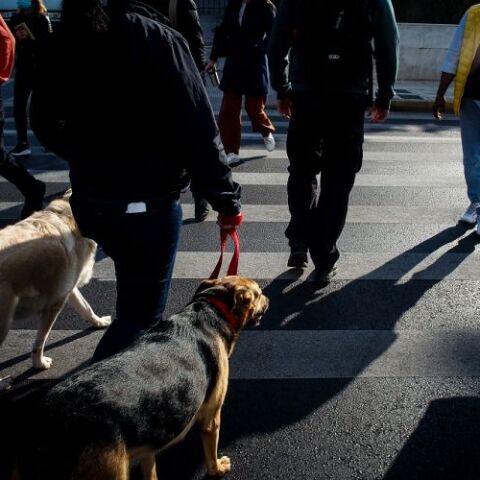 Νέα κρούσματα κορωνοϊού - Πού εντοπίζονται