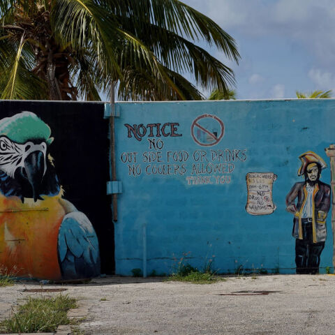 Μπαρμπέιντος: Η κυβέρνηση θέλει να ιδρύσει μια εικονική πρεσβεία στο μετασύμπαν