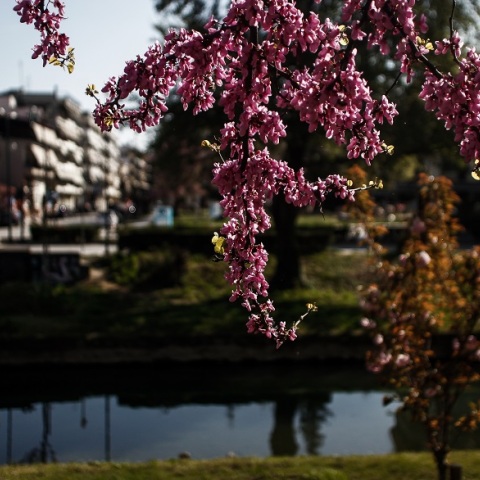 Η πρόγνωση του καιρού