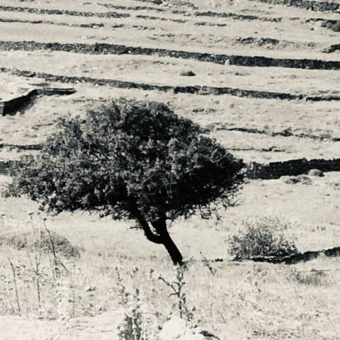 Φωτογραφία στο εξώφυλλο της συλλογής «Ποιήματα» του Ηλία Ευθυμιόπουλου (εκδ. ATHENS VOICE BOOKS)