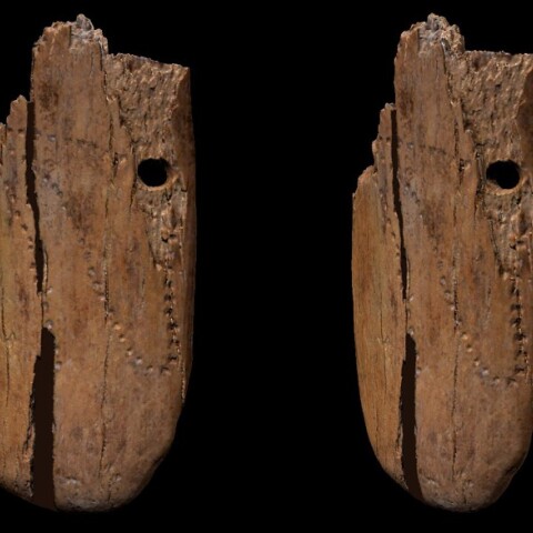 Ανακαλύφθηκε το αρχαιότερο κρεμαστό στολίδι 41.500 ετών από κόκαλο μαμούθ