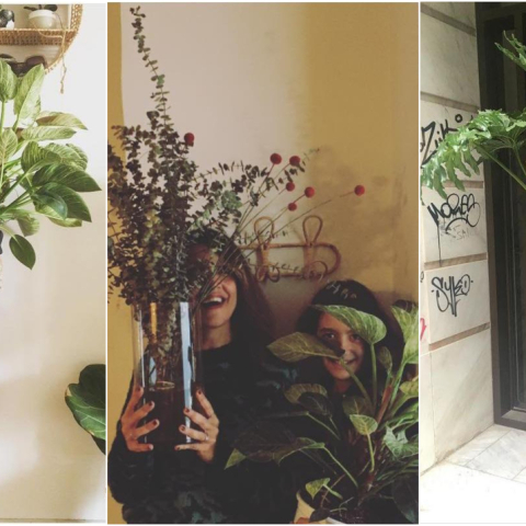 Τέξας Μεταξουργείο 