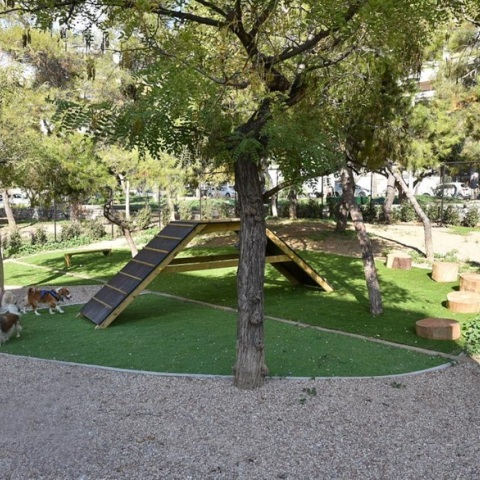 Ο Δήμος Αθηναίων εγκαινιάζει δύο πάρκα με δραστηριότητες για σκύλους