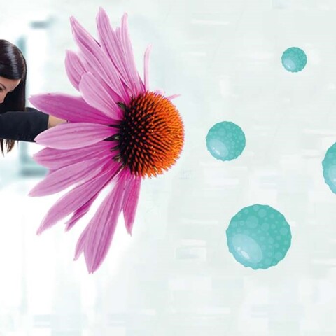 60 χρόνια Echinaforce - No1 σε όλο τον κόσμο 