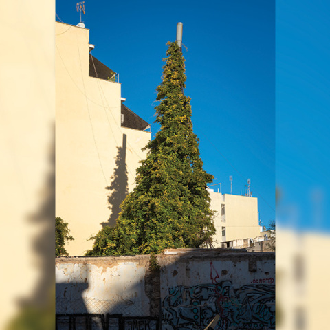 Καμινάδα σουβλακερί - χριστουγενιάτικο δέντρο