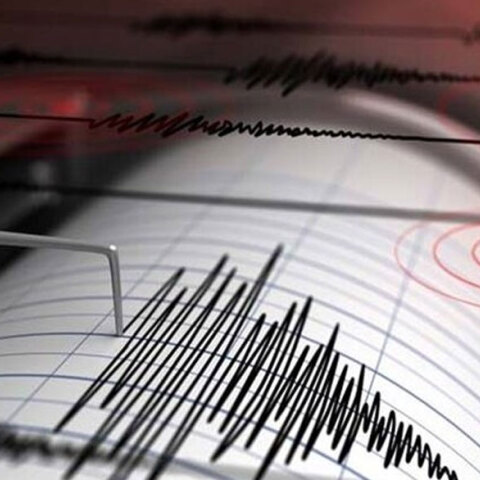 Σεισμογράφος καταγράφει σεισμική δόνηση