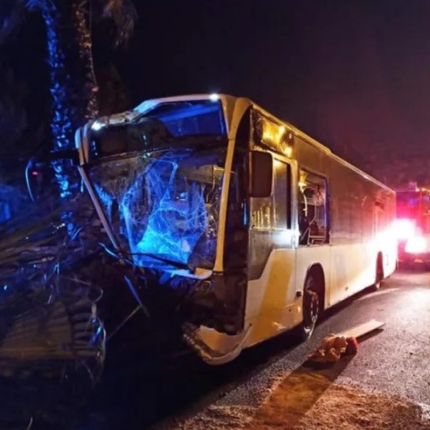 Λεωφορείο διαλύθηκε όταν έπεσε πάνω σε φοίνικες