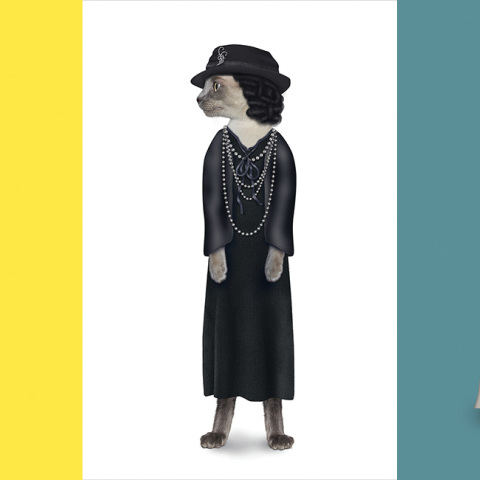 Φωτογραφία από το βιβλίο Pet Rocks των Mark και Kate Polyblank (εκδόσεις TeNeues)