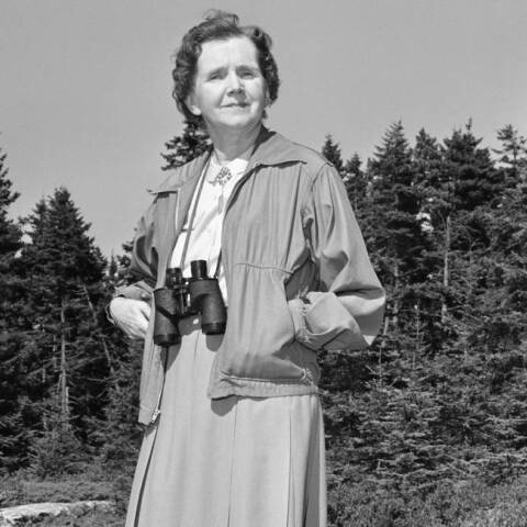 Η βιολόγος Ρέιτσελ Κάρσον στο εξοχικό της σπίτι  στο Boothbay Harbor στο Μέιν (4 Σεπτεμβρίου 1962)