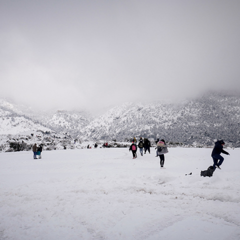 Στα λευκά η Πάρνηθα