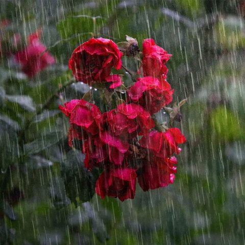 Νέα επιδείνωση καιρού από το απόγευμα της Τρίτης (14/12)