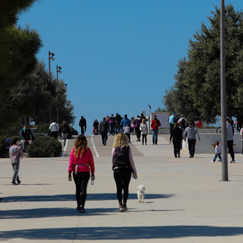 Όλα τα δεδομένα για τον κορωνοϊό