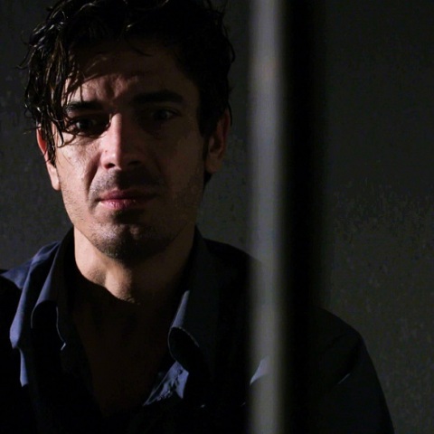 Άγριες Μέλισσες