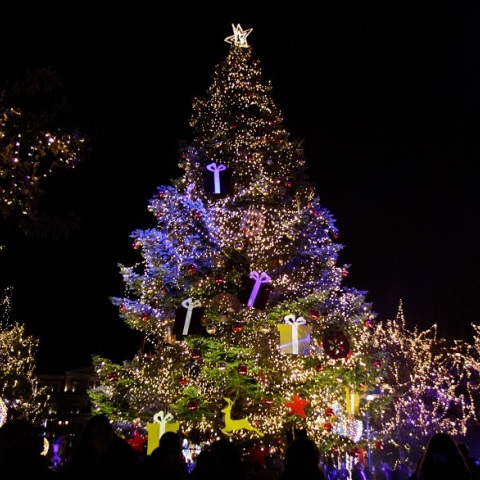 Χριστουγεννιάτικη νυχτερινή Αθήνα 