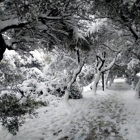 Κακοκαιρία Κάρμελ: Έρχονται ισχυρές καταιγίδες και χιόνια