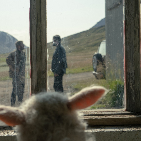 Νέες ταινίες: «Αμνός», «Χαμένοι τα Χριστούγεννα» και «Dissolved»