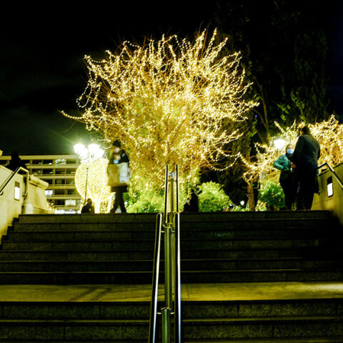 Τα κρούσματα σήμερα Σάββατο 18 Δεκεμβρίου 2021 ανακοίνωσε ο ΕΟΔΥ