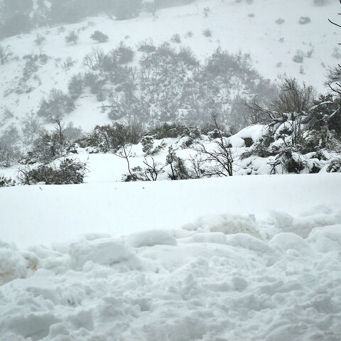 Χιόνια στην Εύβοια