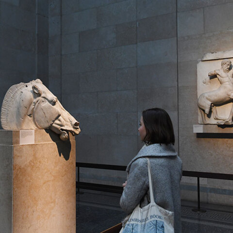 Γλυπτά του Παρθενώνα: Επισκέπτης μπροστά σε μαρμάρινη κεφαλή αλόγου στο Βρετανικό Μουσείο