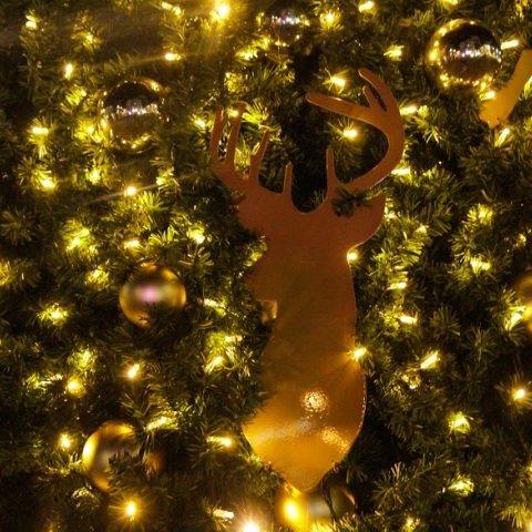 Λεπτομέρεια από χριστουγεννιάτικο δέντρο 