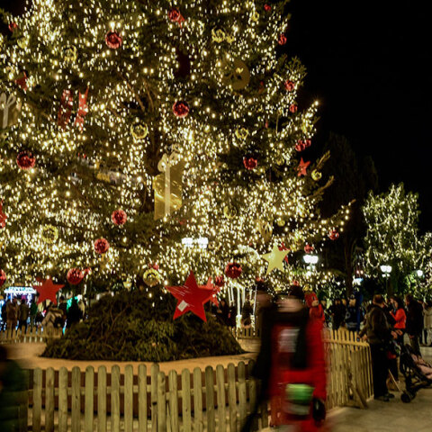 Τα κρούσματα κορωνοϊού και τη γεωγραφική κατανομή τους ανακοίνωσε ο ΕΟΔΥ σήμερα Κυριακή (26/12)