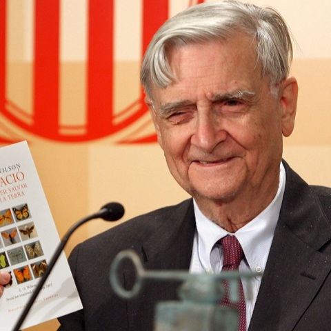 Πέθανε ο «σύγχρονος Δαρβίνος», Εντουαρντ Ο. Γουίλσον