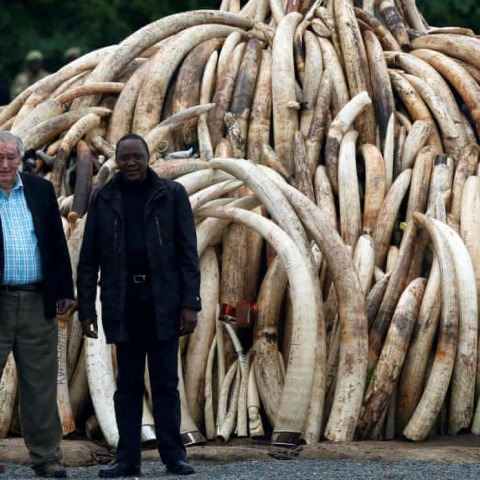 Πέθανε ο Ρίτσαρντ Λίκι