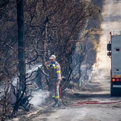 Το 2021 κάηκαν τόσα στρέμματα στην Ελλάδα όσα κατά την οκταετία 2013–2020, σύμφωνα με το meteo του Αστεροσκοπείου	