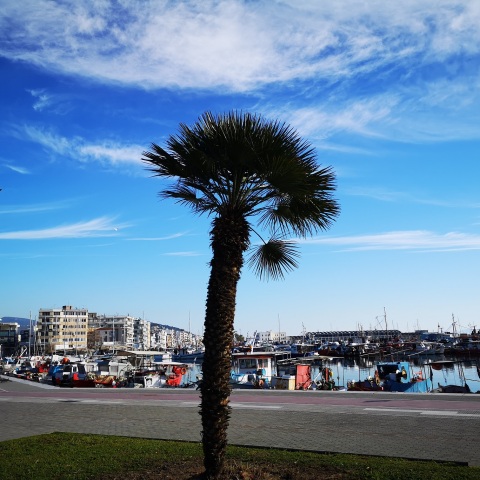 Το λιμάνι του Βόλου