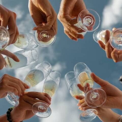 Παρέα φίλων, τσουγκρίζουν τα ποτά τους