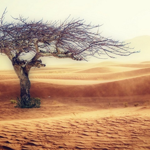 Κλιματική Αλλαγή: Ρεκόρ υπερθέρμανσης τα επτά τελευταία χρόνια 