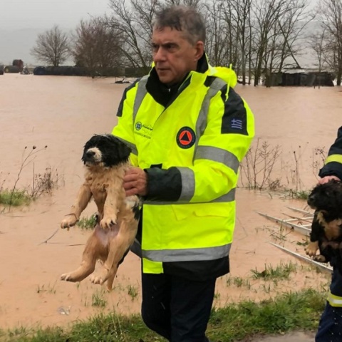 «Δοιμήδης» - Φάρσαλα: Διάσωση κουταβιών που κινδύνεψαν να πνιγούν