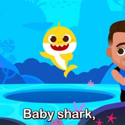 Baby Shark