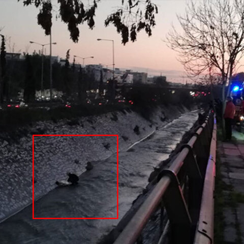 Πυροσβέστης στον Κηφισό ανασύρει γυναίκα που έπεσε μέσα στην κοίτη