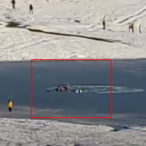 Στο νερό επισκέπτες στη Λίμνη Πλαστήρα, καθώς έσπασε ο πάγος