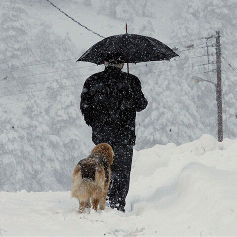 Άνδρας με ομπρέλα και τον σκύλο του κρατά ομπρέλα στα χιόνια