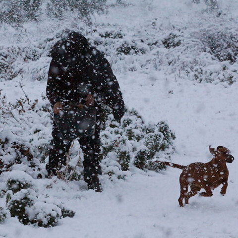 Άνδρας με σκύλο στα χιόνια εν μέσω κακοκαιρίας