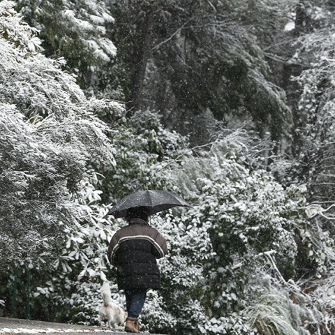 Η πρόγνωση του καιρού για σήμερα Σάββατο (22/01)