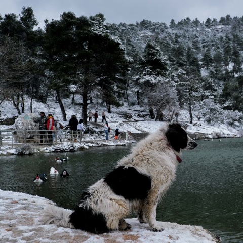 Κακοκαιρία «Ελπίς»